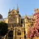 Notre-Dame-katedra